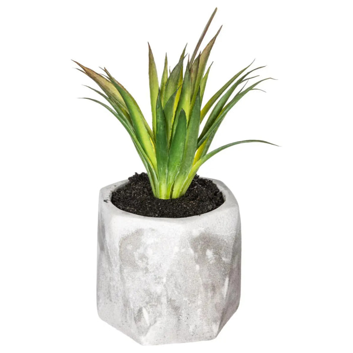 Plante grasse artificielle - pot en ciment - H14 cm