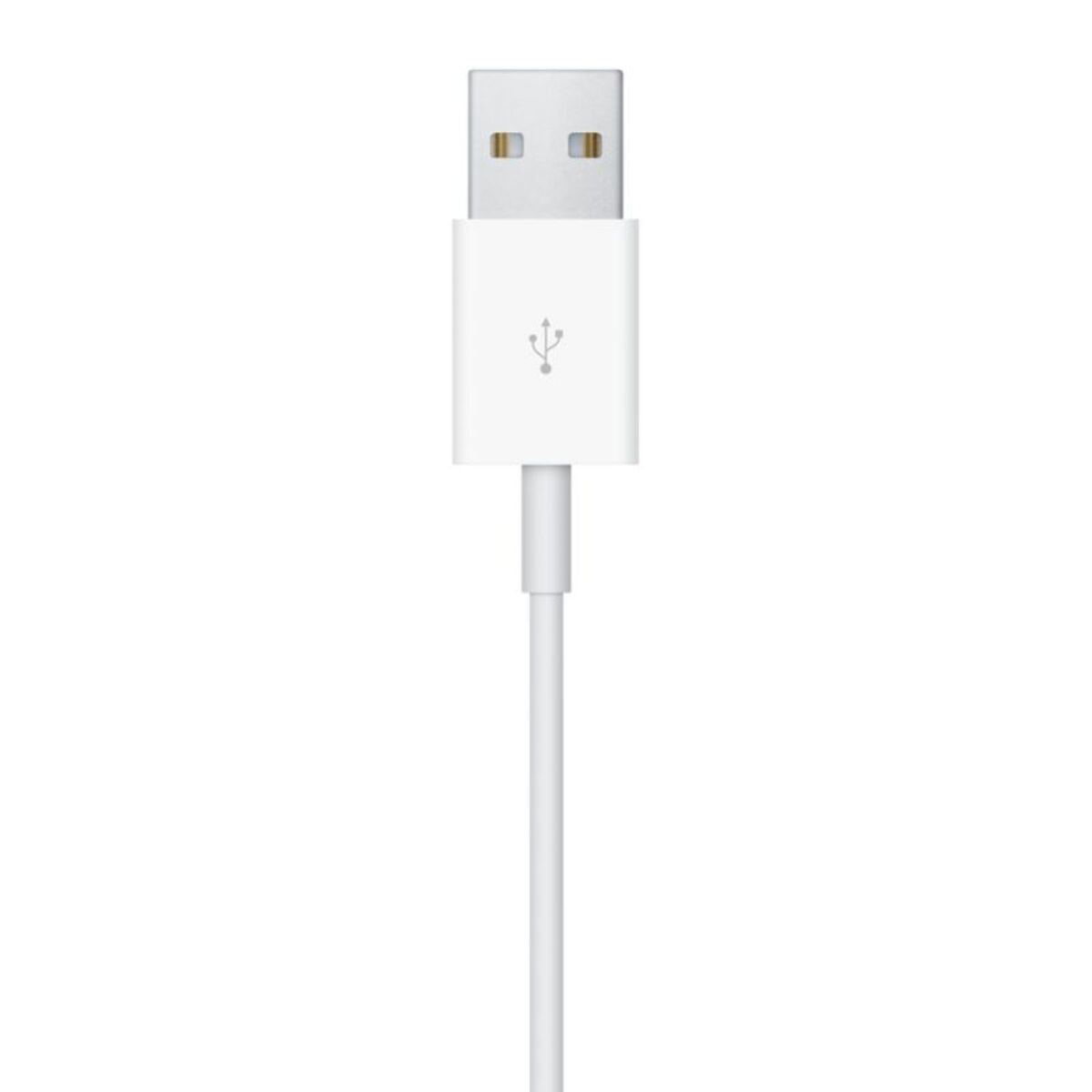 Chargeur induction APPLE pour Apple Watch 1M USB-A