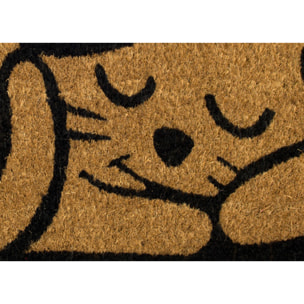 Zerbino Cocco Ingresso Casa Antiscivolo Sagomato Animal Cat