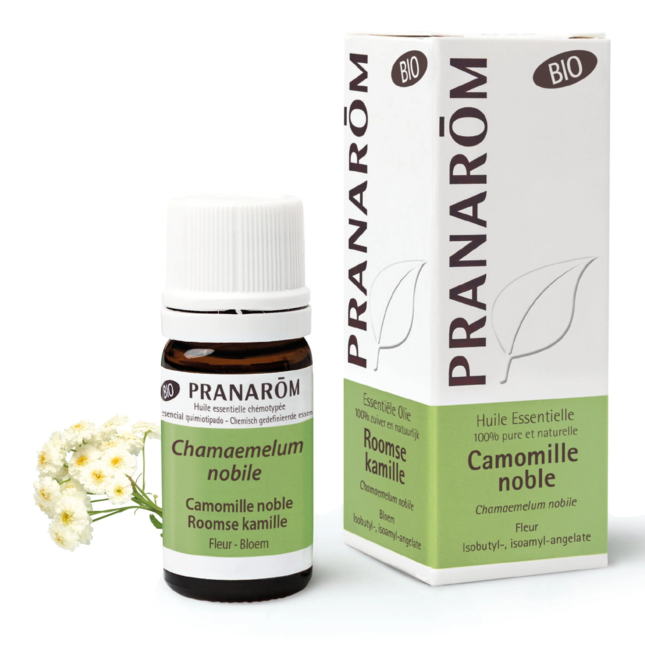 Pranarom - Huile Essentielle de Camomille noble - Bio - 5 ml