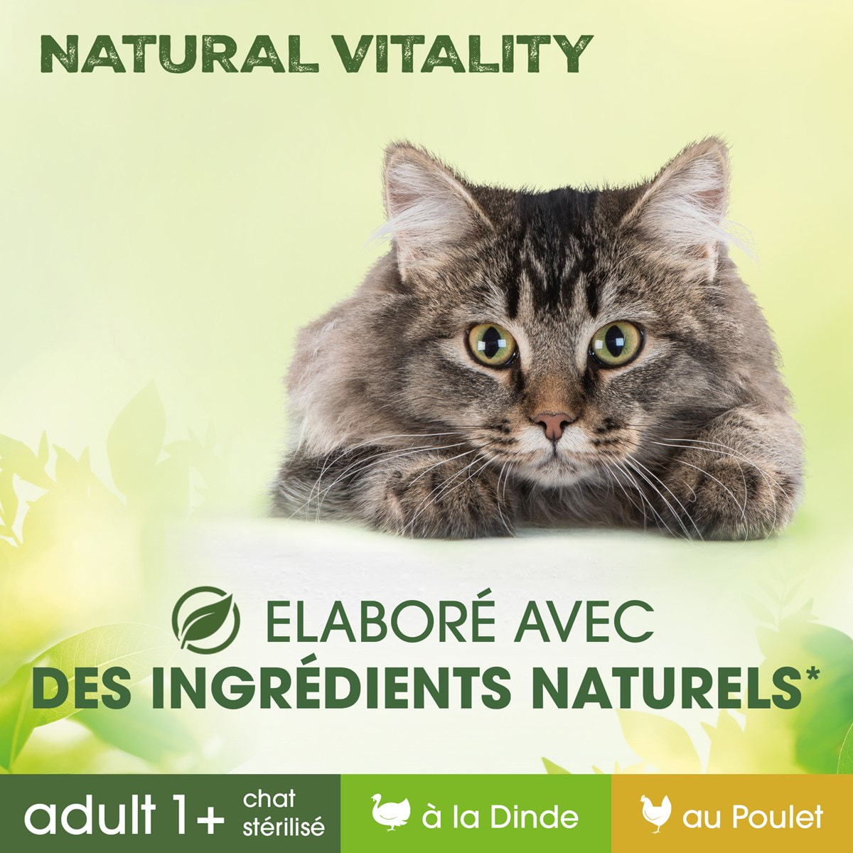 PERFECT FIT Natural Vitality 72 Sachets fraîcheur poulet dinde chat 50g (12x6)