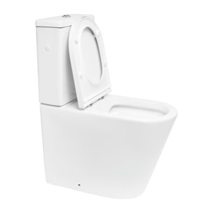 Brevis cuvette WC PMR à poser SEULE sans bride en céramique (réservoir non fourni), blanc (SATBRE32M)