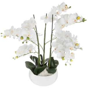 Orchidée artificielle - pot céramique blanc H65 cm