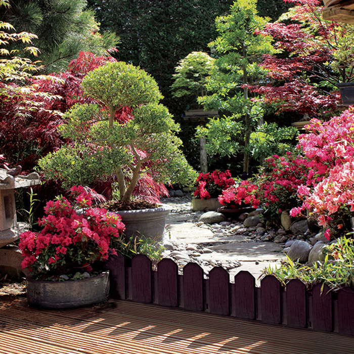 Bordura De Jardin Sierra Border 0.20x0.80 M Marron