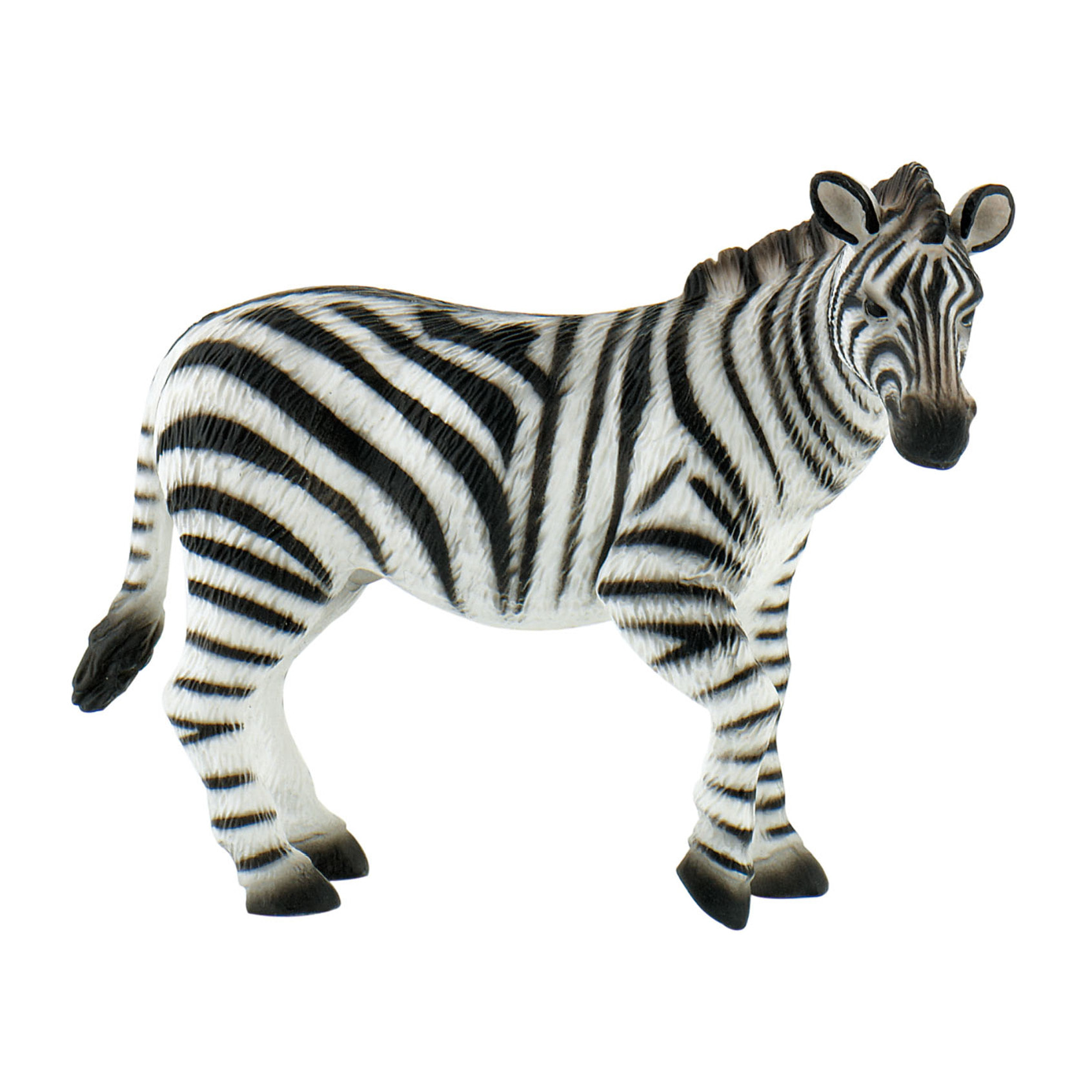 Safari/Zebra