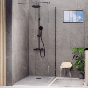 Paroi de douche Royal Noir 110cm