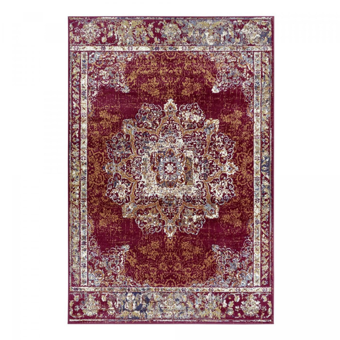 Tapis salon Rectangulaire Oriental