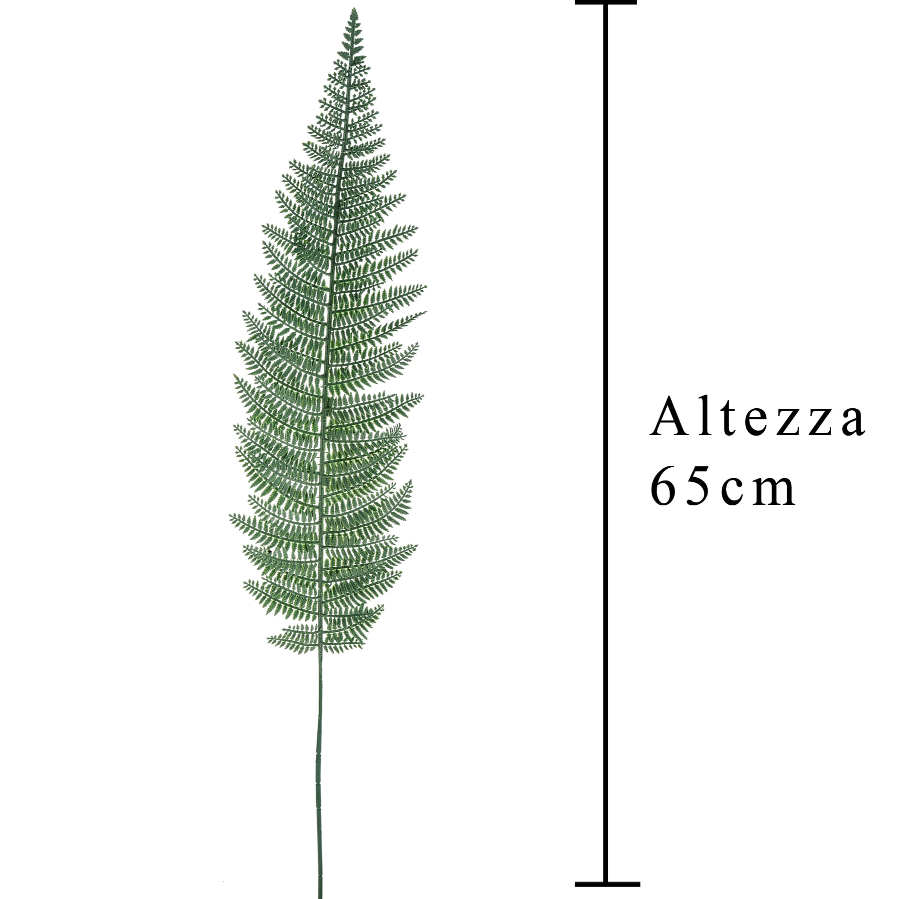 Foglia Di Felce. Altezza 65 Cm - Pezzi 24 - 10X65X2cm - Colore: Verde - Bianchi Dino - Piante Artificiali