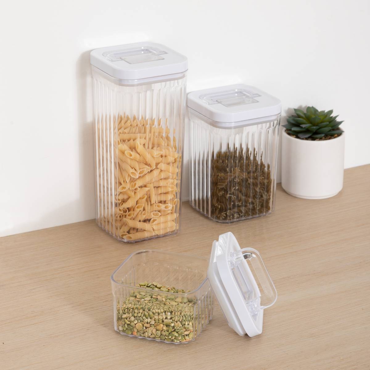 Lot de 3 boîtes de conservation Streaks