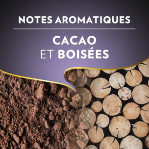 Grains Barista Intenso 1Kg