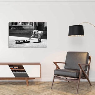 Tableau animaux skate dog  Tableau alu Dibond