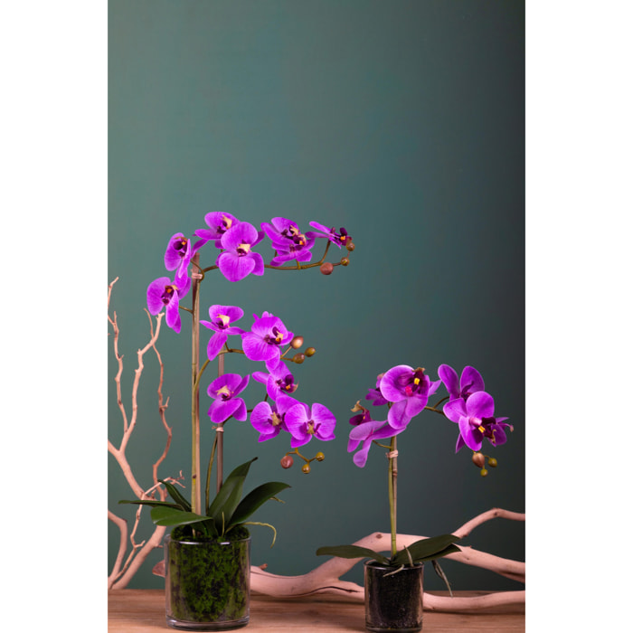 Pianta Di Phalaenopsis Con Vaso. Altezza 48 Cm - Pezzi 1 - 22X48X14cm - Colore: Rosa - Bianchi Dino - Piante Artificiali