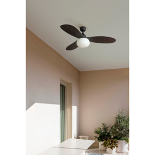 PALMA M ventilatore da soffitto marrone IP44 E27