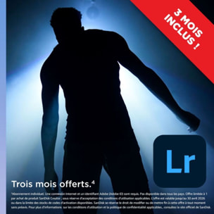 Carte Micro SD SANDISK 256Go Creator