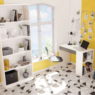 Mesa de escritorio Masster Blanco Artik (Blanco Mate) - Gris Antracita