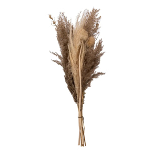Bouquet de pampas séchées "Ori" blanc ivoire H58cm