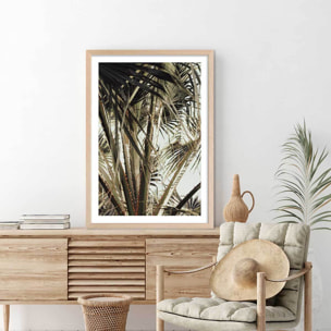 Poster cœur de palmier Affiche + cadre en bois - Chêne