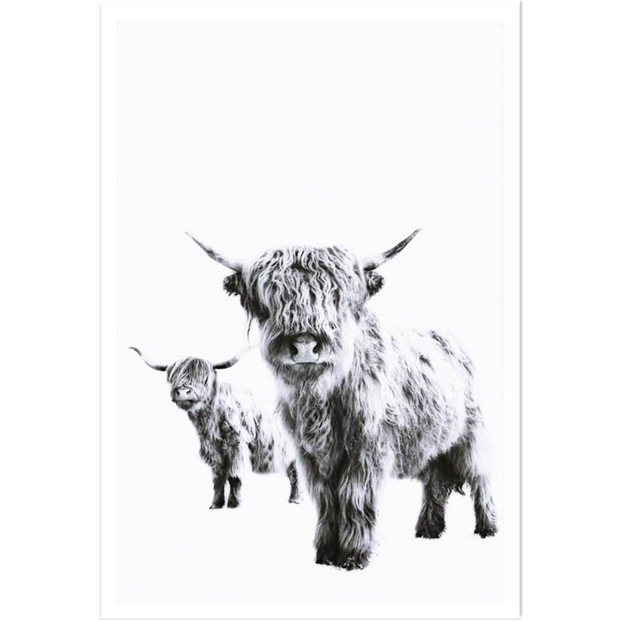 Affiche enfant jumelles  Affiche seule