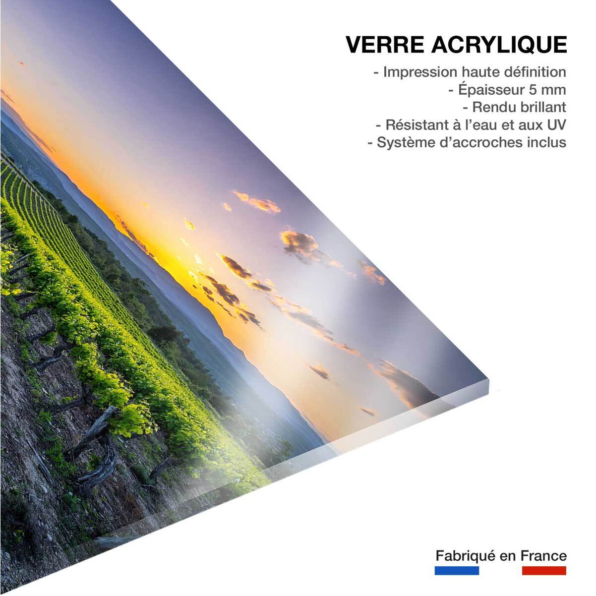 Tableau Tableau photo vineyard Tableau plexiglas