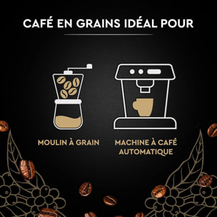 CARTE NOIRE - Grains Classique  - 100 % Arabica - Certifié Rainforest Alliance - 1 kg