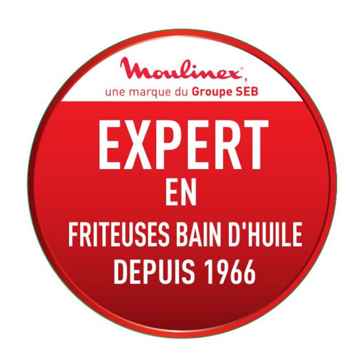 Friteuse semi-professionnelle MOULINEX easy pro premium YY5144FB