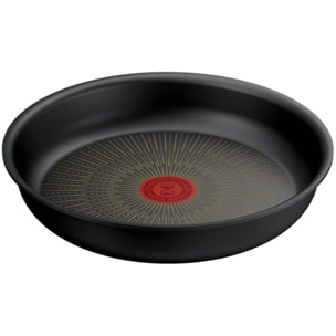 Poêle TEFAL Ingenio Eco Resist 24 cm L3970402