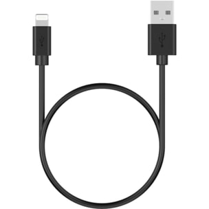 Câble Lightning ESSENTIELB vers USB 1m noir certifié Apple