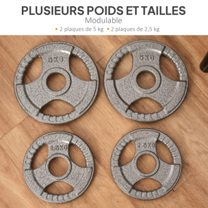 Disques de poids 2,5/2,5/5/5 Kg - 4 poids de musculation - dia. trou 5,4 cm - acier