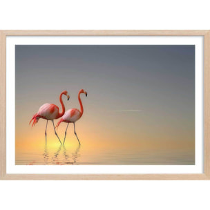 Affiche animaux flamands bleus Affiche + cadre en bois - Chêne