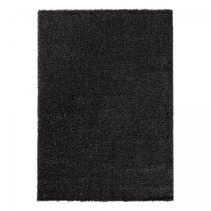 Tapis salon HINOU Noir 120x170 en polypropylène doux et soyeux