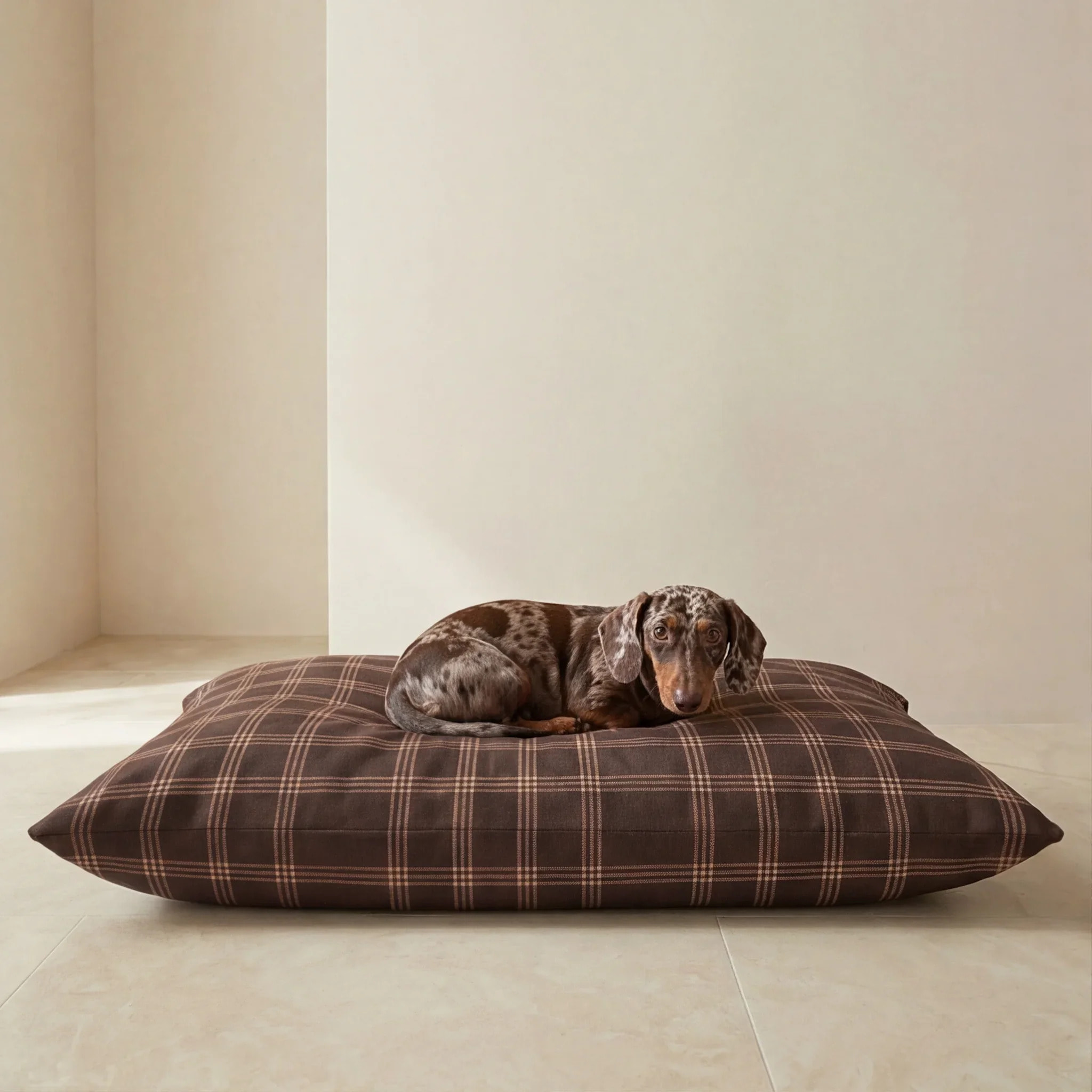 Lit pour animaux déhoussable et antitaches Gus