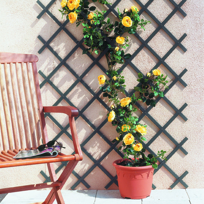 Celosia Extensible Pvc Trelliflex Antracita