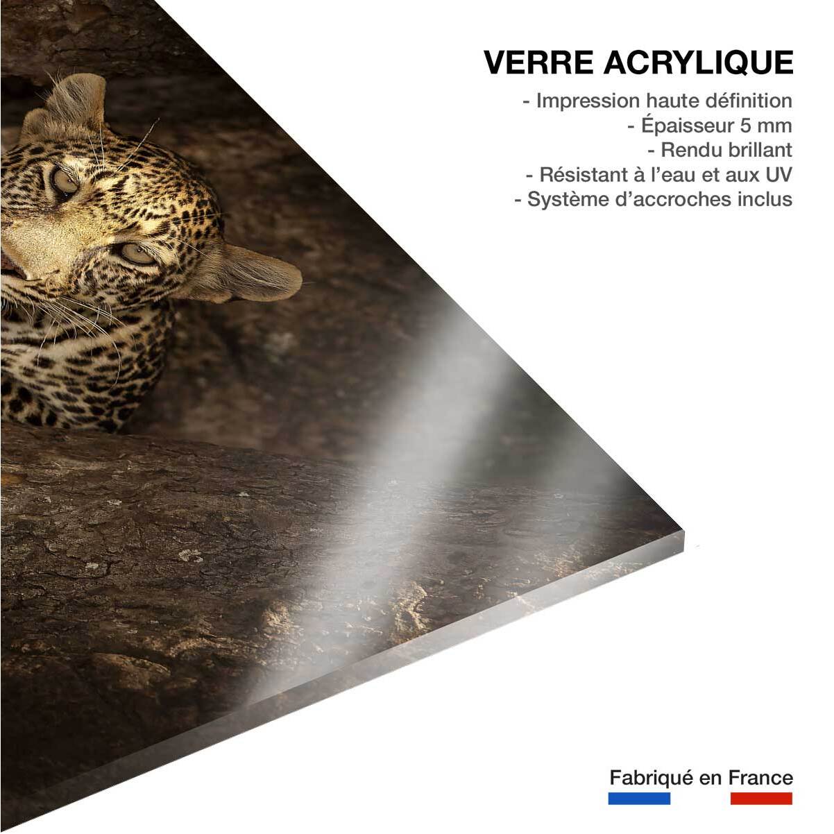 Tableau masai léopard Tableau plexiglas
