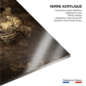 Tableau masai léopard Tableau plexiglas