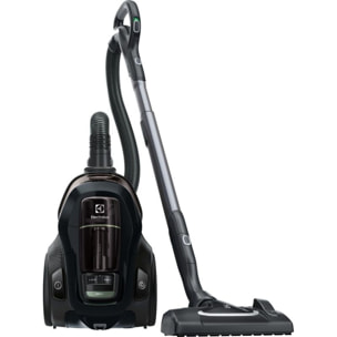 Aspirateur sans sac ELECTROLUX Pure C9 PC91-Green