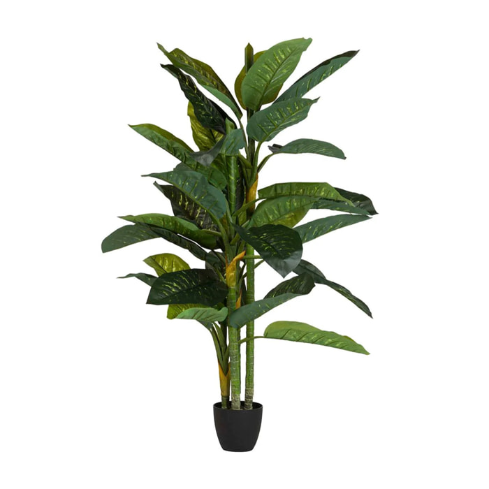Planta Artificial Dieffenbachia Amoena Con Maceta 70x70x160cm