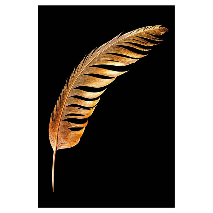Affiche encadrée plume dorée sur fond noir Affiche + cadre en métal - Noir