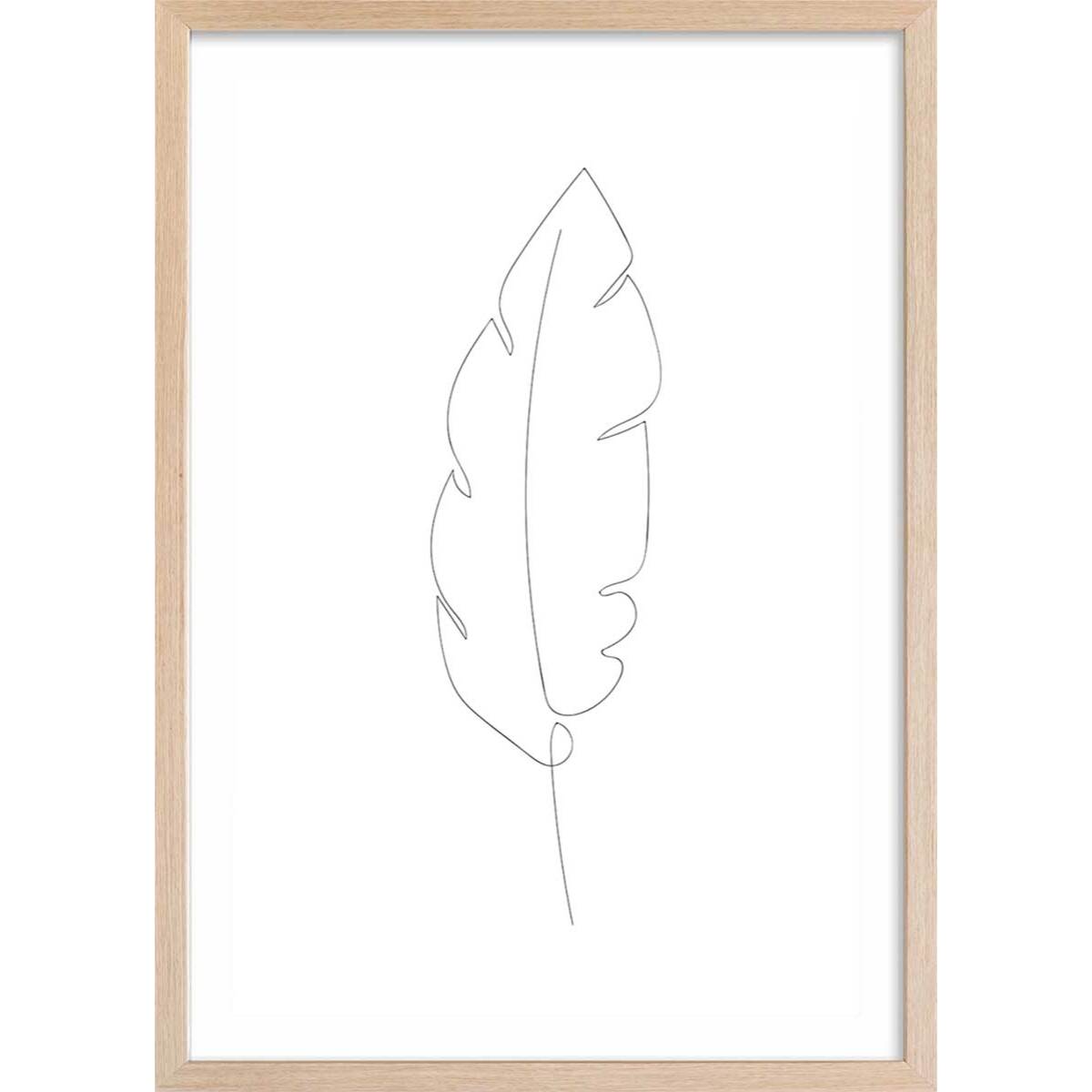 Affiche plume en croquis Affiche + cadre en bois - Chêne