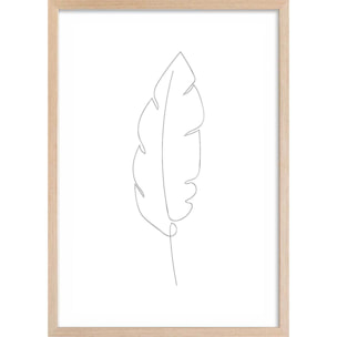 Affiche plume en croquis Affiche + cadre en bois - Chêne