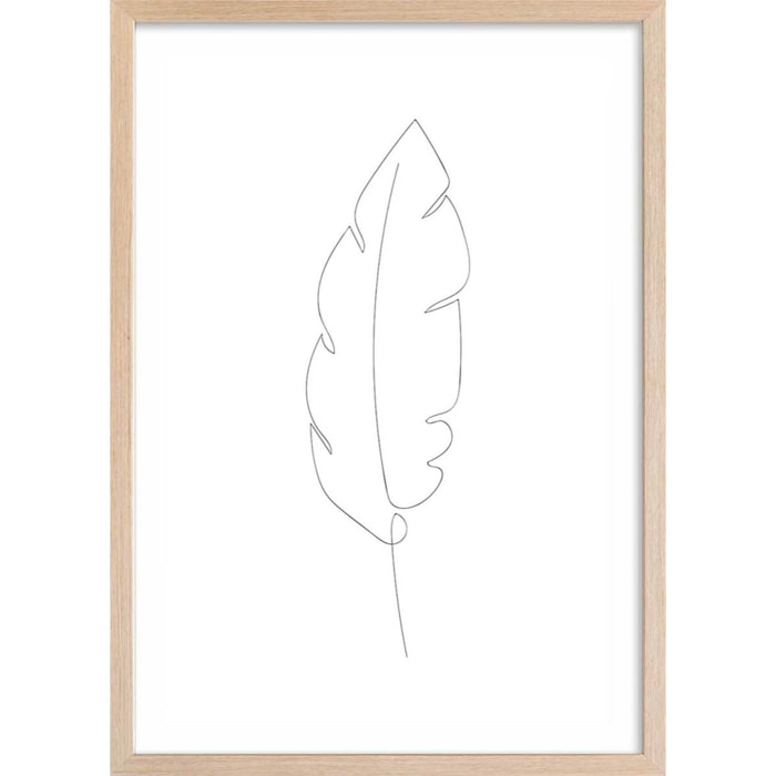 Affiche plume en croquis Affiche + cadre en bois - Chêne