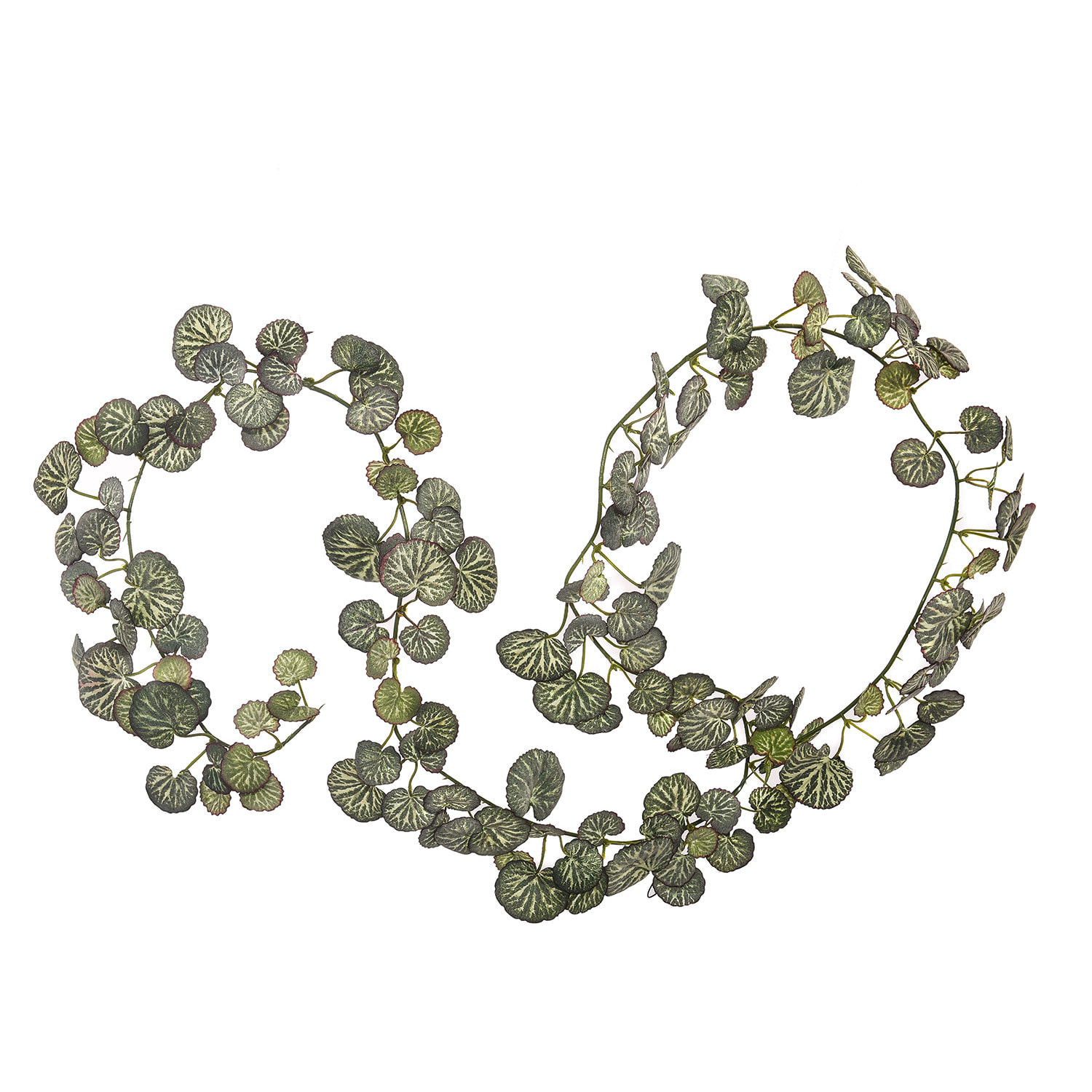 Ghirlanda Saxifraga Con 147 Foglie. Altezza 180 Cm - Pezzi 4 - 8X180X5cm - Colore: Verde - Bianchi Dino - Piante Artificiali