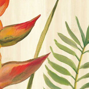 Affiche Oiseaux du paradis en aquarelle Affiche sous cadre noir