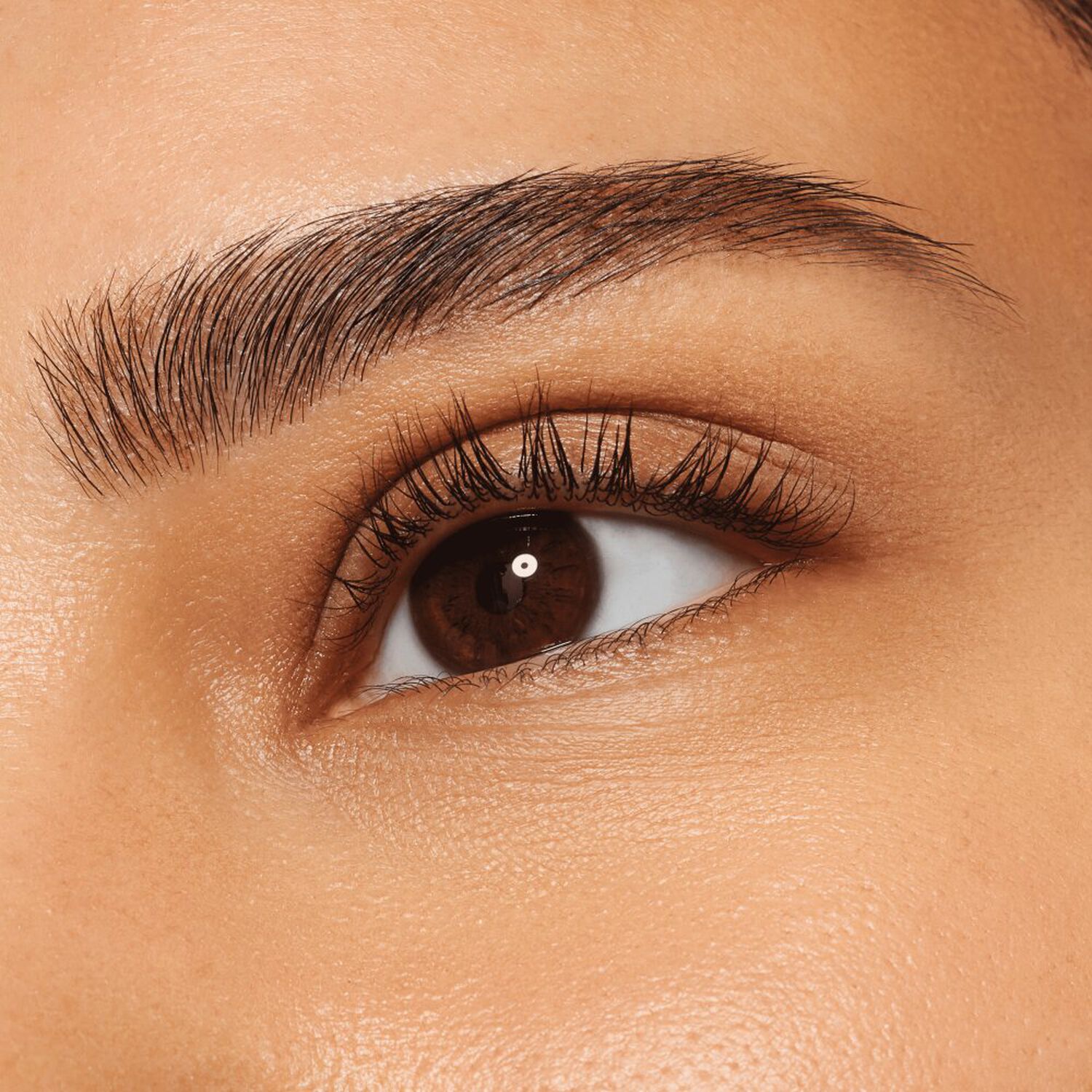 Shape&Shade - Crayon Sourcils Waterproof Longue Tenue