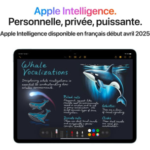 Tablette Apple IPAD Air 11 M3 128Go Gris Sidéral Cell 2025