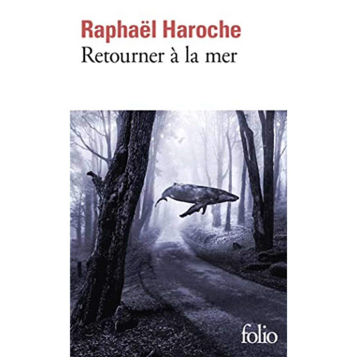 Haroche, Raphaël | Retourner à la mer | Livre d'occasion