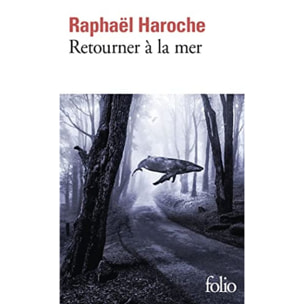 Haroche, Raphaël | Retourner à la mer | Livre d'occasion