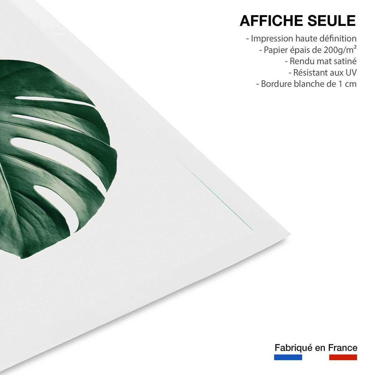 Affiche  monstera perfect Affiche seule