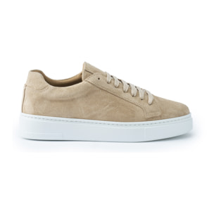 Sneaker British Passport Beige