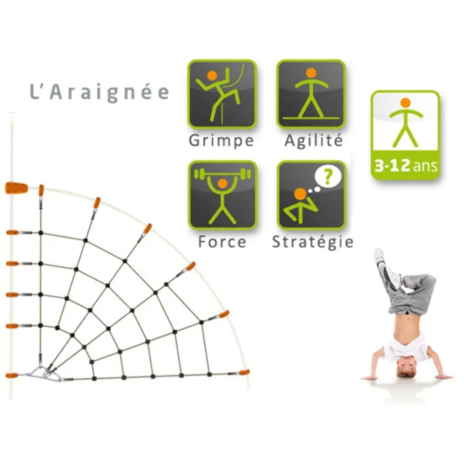 Araignée pour structure de jeux EVO