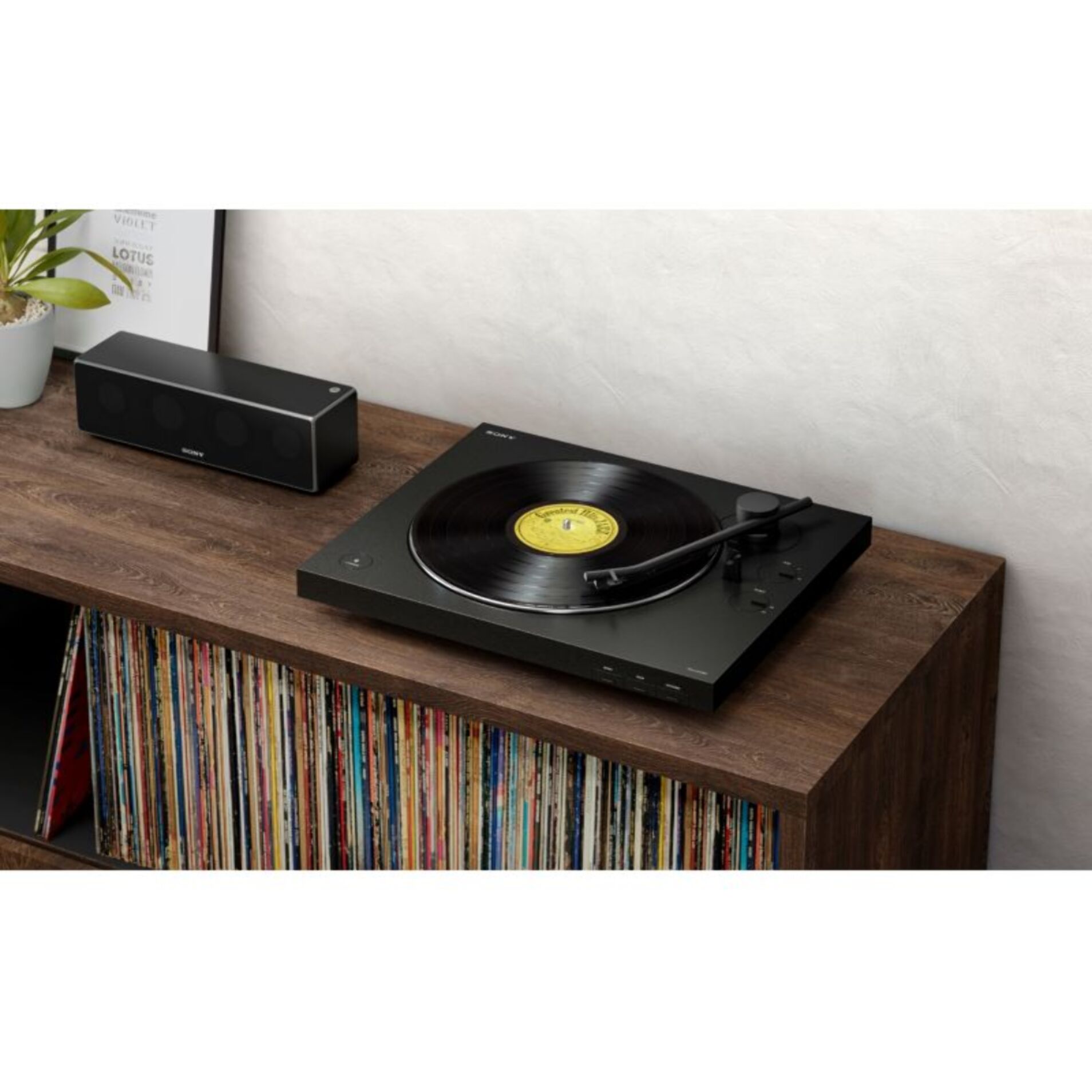 Platine vinyle SONY PSLX310BT